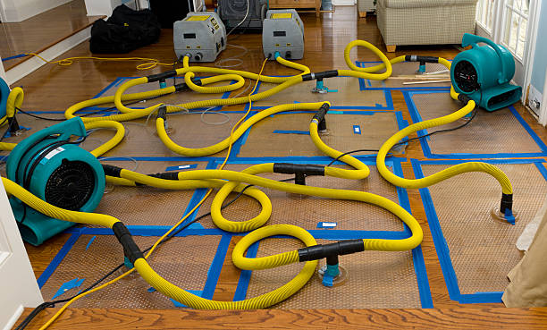 Professional Structural Drying And Dehumidification technician working in Palm Bay, FL